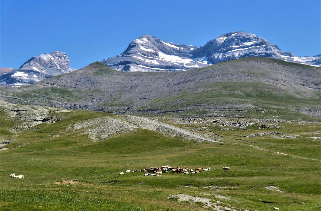 Nerin Apartment | Casa Ortiz