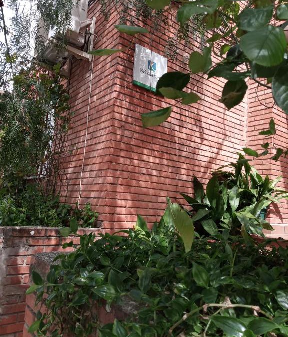 Siles House | Casa Pinos