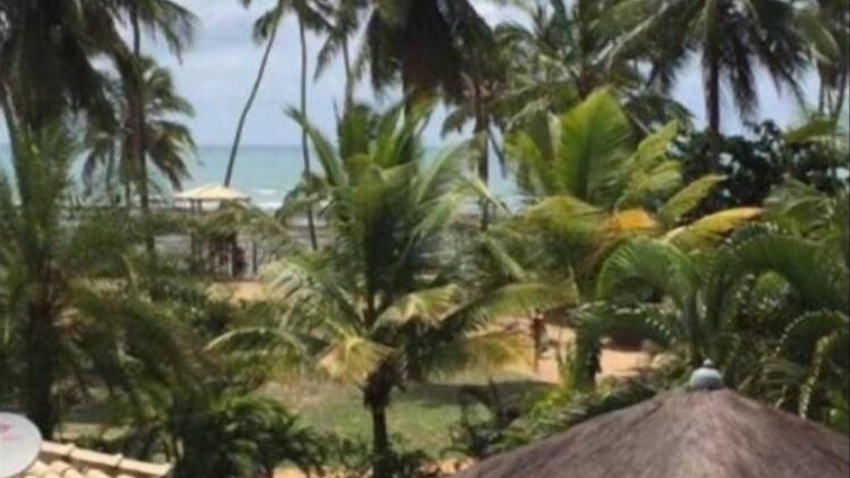 Mata de Sao Joao House | Casa Porto das Baleias, Praia do Forte, Perto do mar