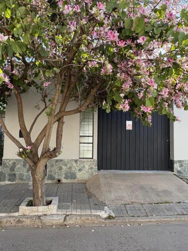 Gualeguaychu House | Casa Rita