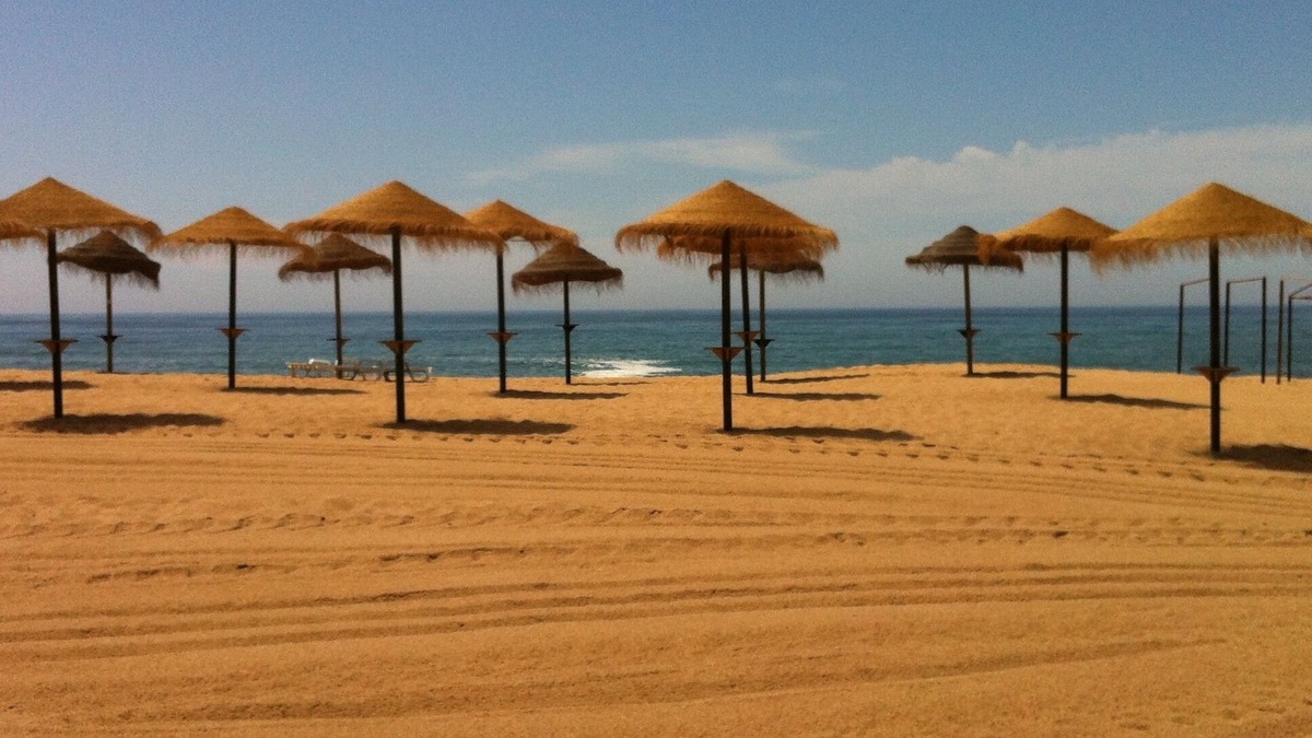 Maceira House | Casa Rocha house 2 km from the sea in Portugal (promo mid August)