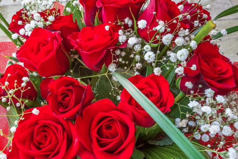 Sao Cristovao de Lafoes House | Casa Rosas Quintiães