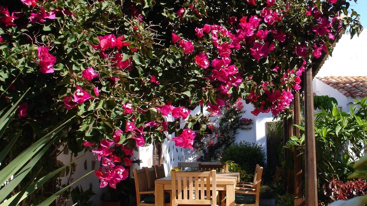 San Bartolome de Tirajana Hotel | Casa Rural Palomar - Men Only