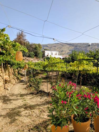 Ohanes Bed & Breakfast | Casa Rural en Ohanes, 1 dormitorio - El Cortijo Escondido, La Rosa