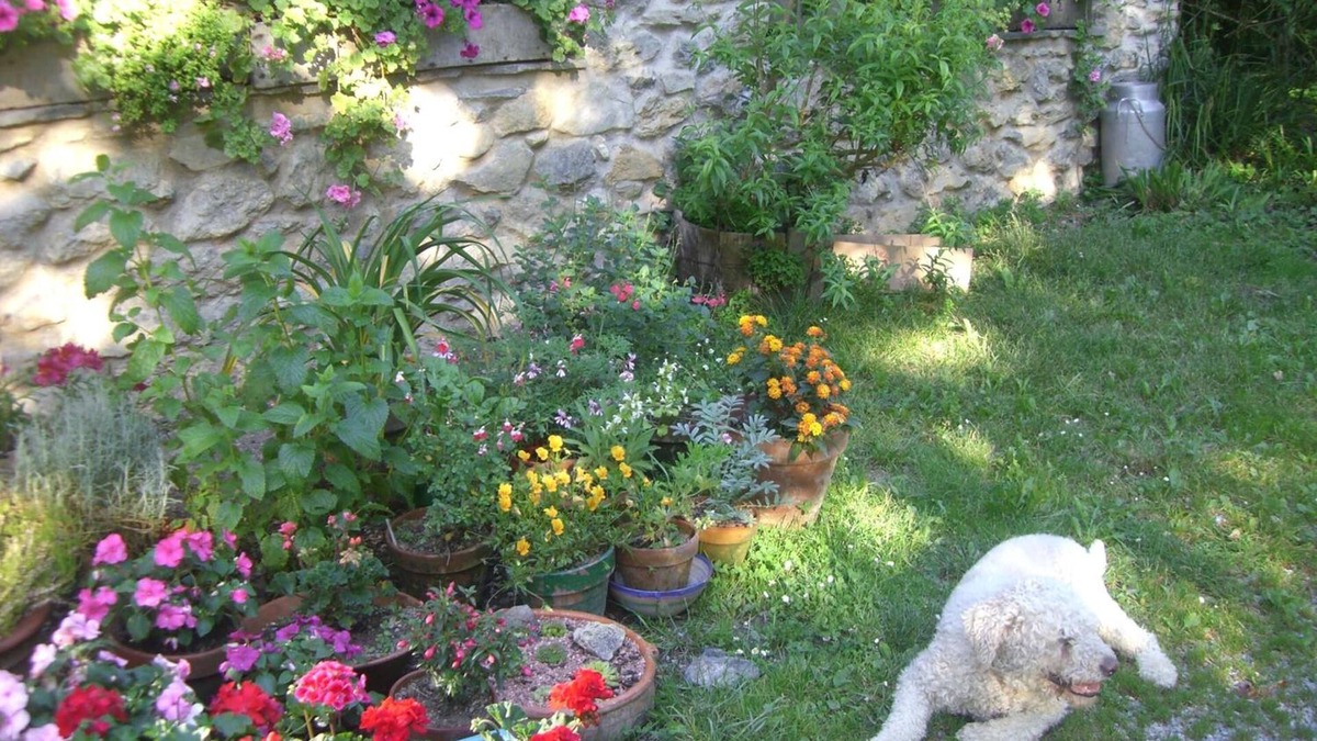 Deba Other | Casa Rural Goikola