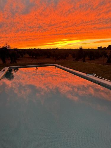 Burguillos de Toledo House | Casa Rural Tulaytulah