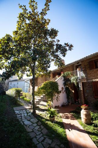 Massa Marittima Apartment | Casa Serena Massa Marittima centrale con giardino Bike friendly