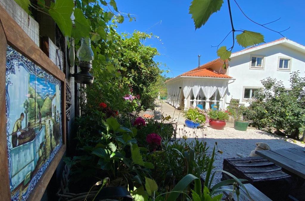 Arganil Bed & Breakfast | Casa Traca