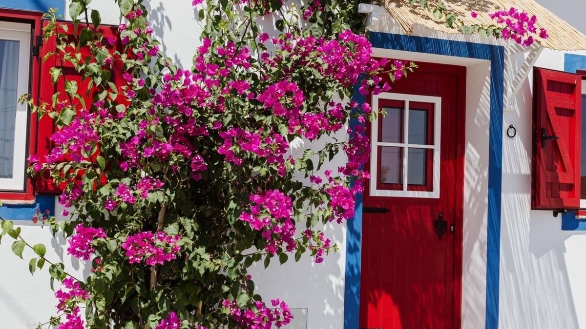 Mertola Other | Casa Vó Briata