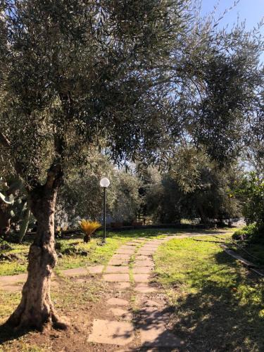 Paterno House | Casa Vacanza L'ulivo