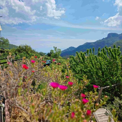 Campinola House | CASA VACANZE - Anna Holiday Home
