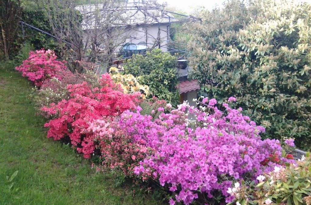 Brunate House | Casa Vacanze Le Violette