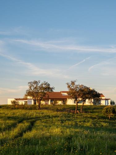 Santiago do Cacem Villa | Casa Vale da Rosa- August checkins and checkouts on Sundays