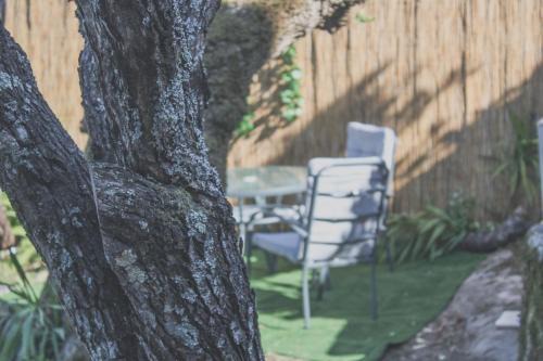 Torres Novas House | Casa Valido