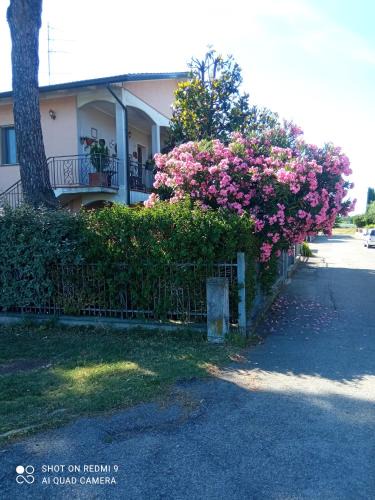 Savio Bed & Breakfast | Casa Vintago b&b