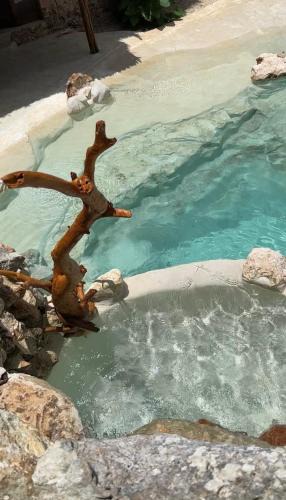 Yucatan Peninsula Villa | Casa Yaxunah