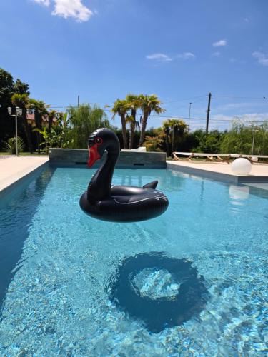 Chioggia Apartment | CasaKadd001Luxury Heated Pool Garden PatioBarbeque
