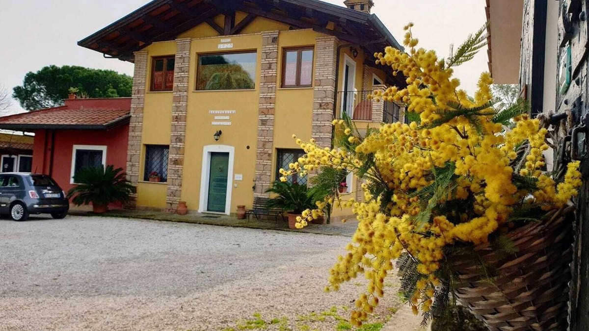 Zona XXVI Castel di Decima Other | Casale Trigoria, surrounded by greenery, a stone's throw from the city and the sea