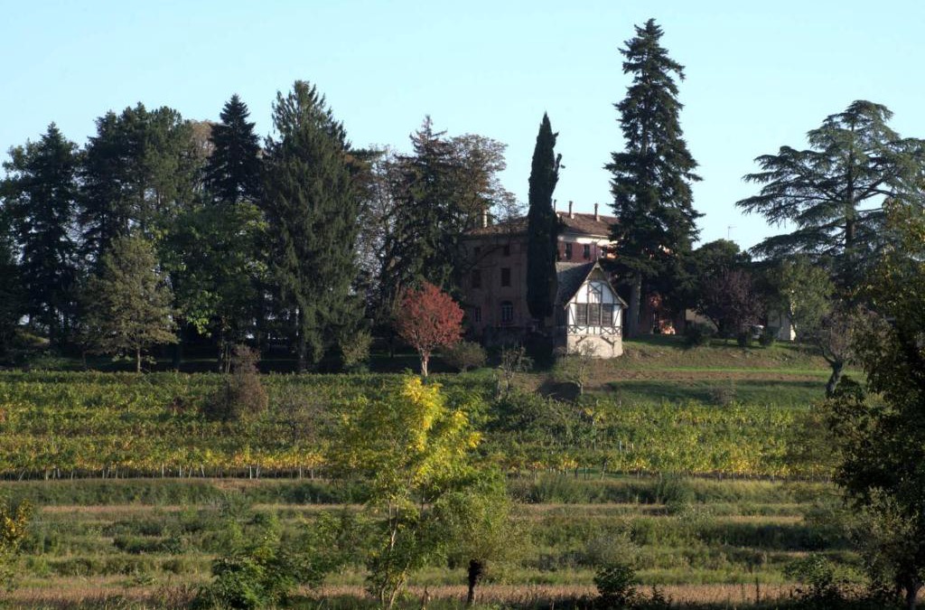 Gagliano House | Casali del Picchio - Winery