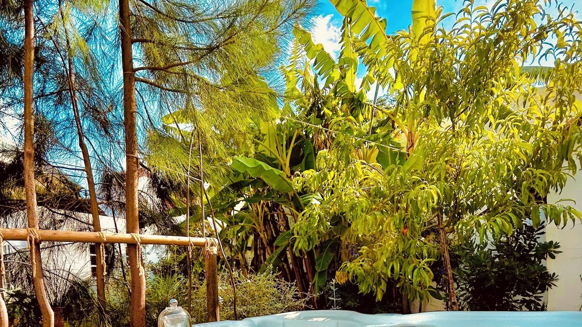 Vendas Novas House | Casas das Piçarras - Alentejo