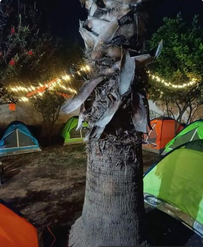 Tlahuac Other | casas de campaña para Dia de Muertos
