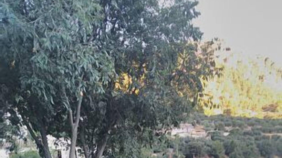 Tiscar Cottage | Casas la Piedra de Tíscar for 6 people