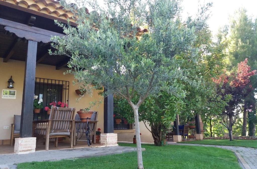 Alcaraz House | Casas Rurales Cortijo Bellavista