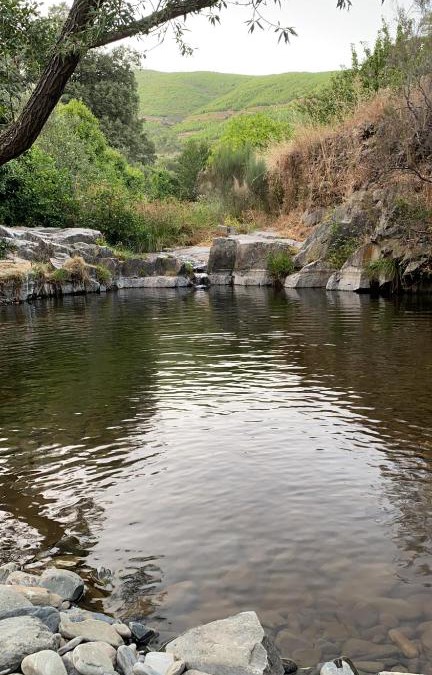 Cambron House | Casas Rurales Prunus Avium