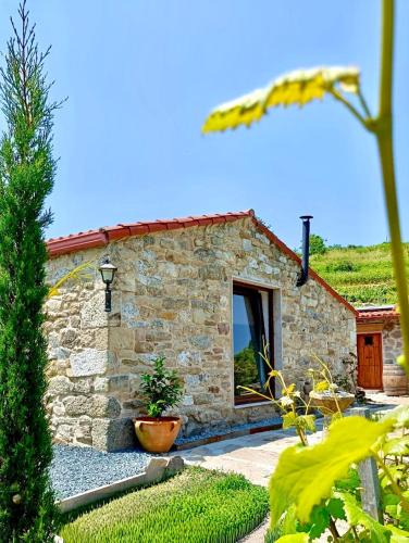 Chantada House | Casiña Raíz Entre viñas y cielo Ribeira Sacra