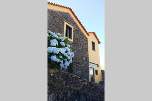 Benfeita House | Casinha de Xisto - Serra do Açor