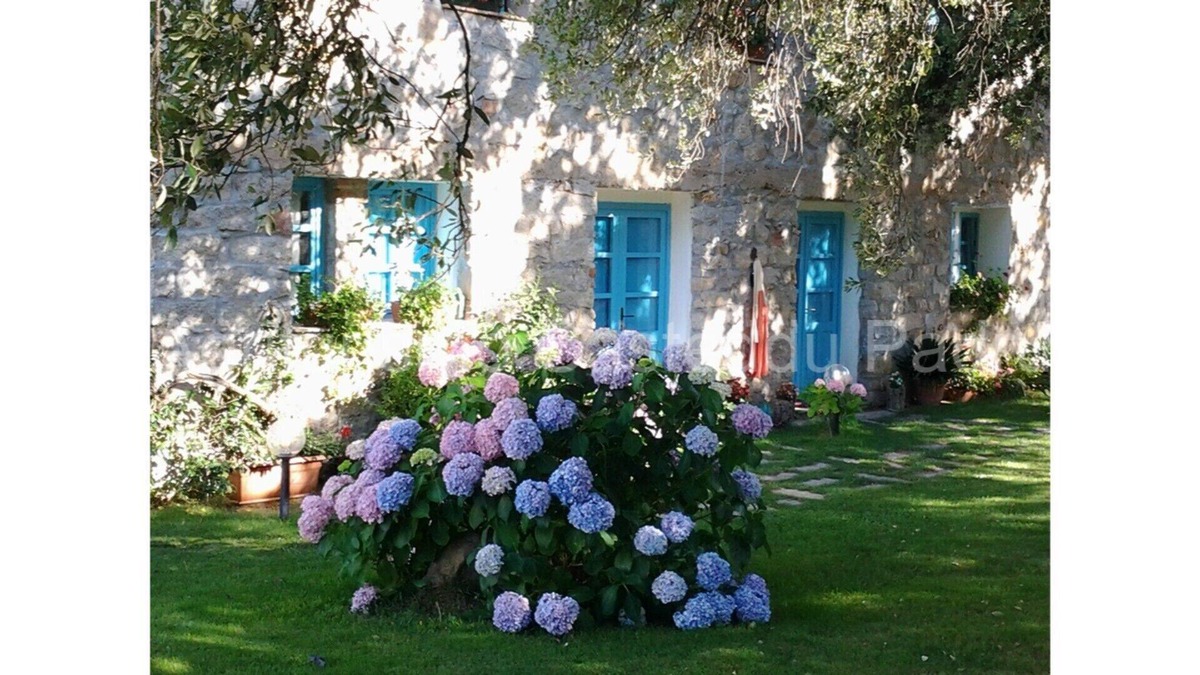 Padru Other | CASTEDDU FARMHOUSE - CAMILLA ROOM