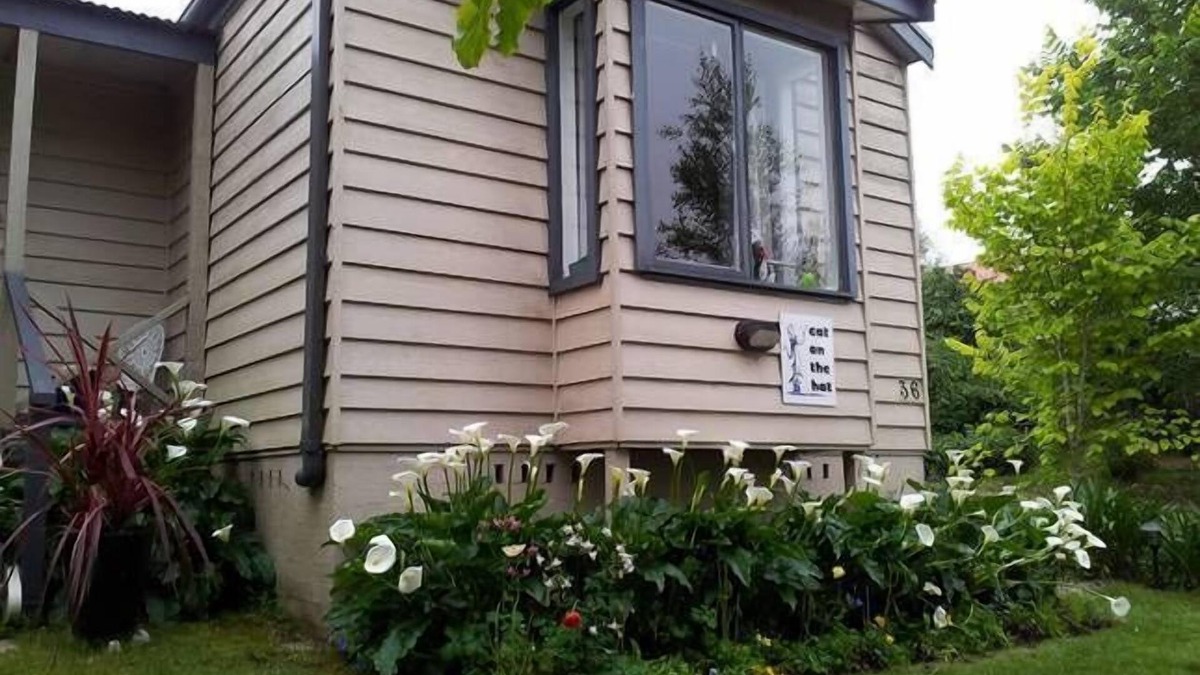 Blackheath Cottage | Cat On The Hat Cottage ~MeOw MeOw~n5 stars 🌟 🌟 🌟 😻 propertynn