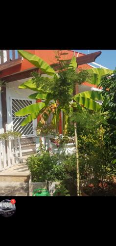 Cozze House | Catullo Bags&Beach