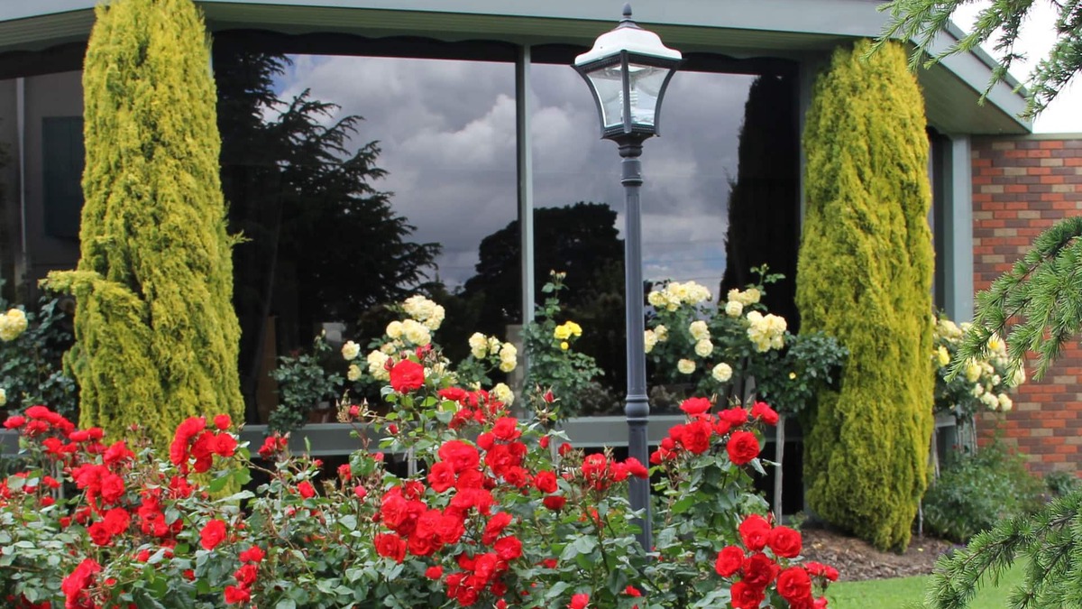 Morwell Hotel | Cedar Lodge Motel Morwell