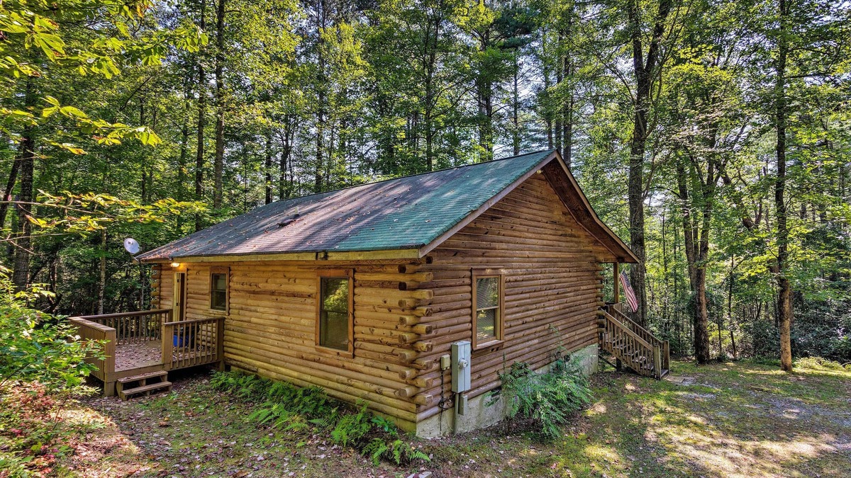 Brevard Cottage | Cedar Mountain Log Cabin: 4 Mi Dupont State Forest