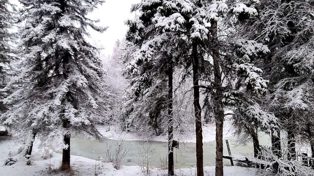 Taku - Campbell House | Central ANC Creekside Retreat: Direct Trail Access