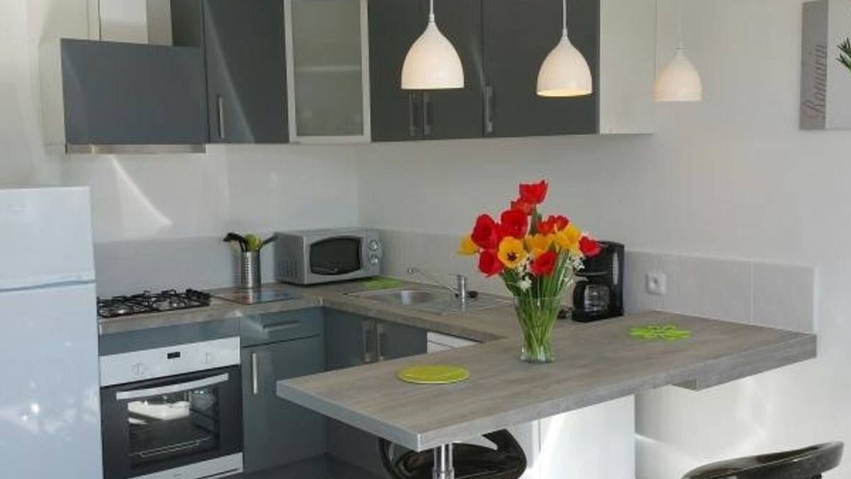 La Roche-Posay Apartment | Central Apartment in La Roche-Posay with Pool and Terrace