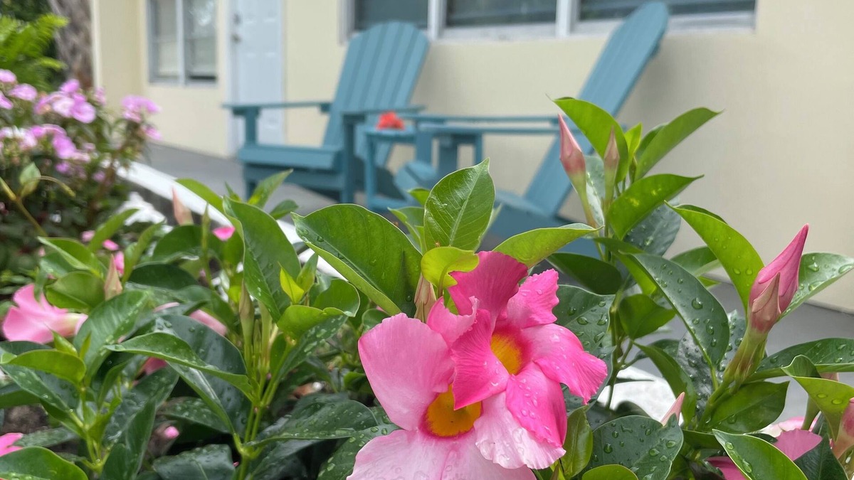 Rock Ridge House | Centrally located, recently renovated, beach-themed delight; 4-min to the beach!
