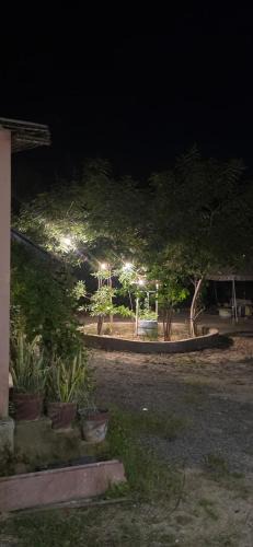 Bali Resort | CENTRE POINT JAWAI RESORt