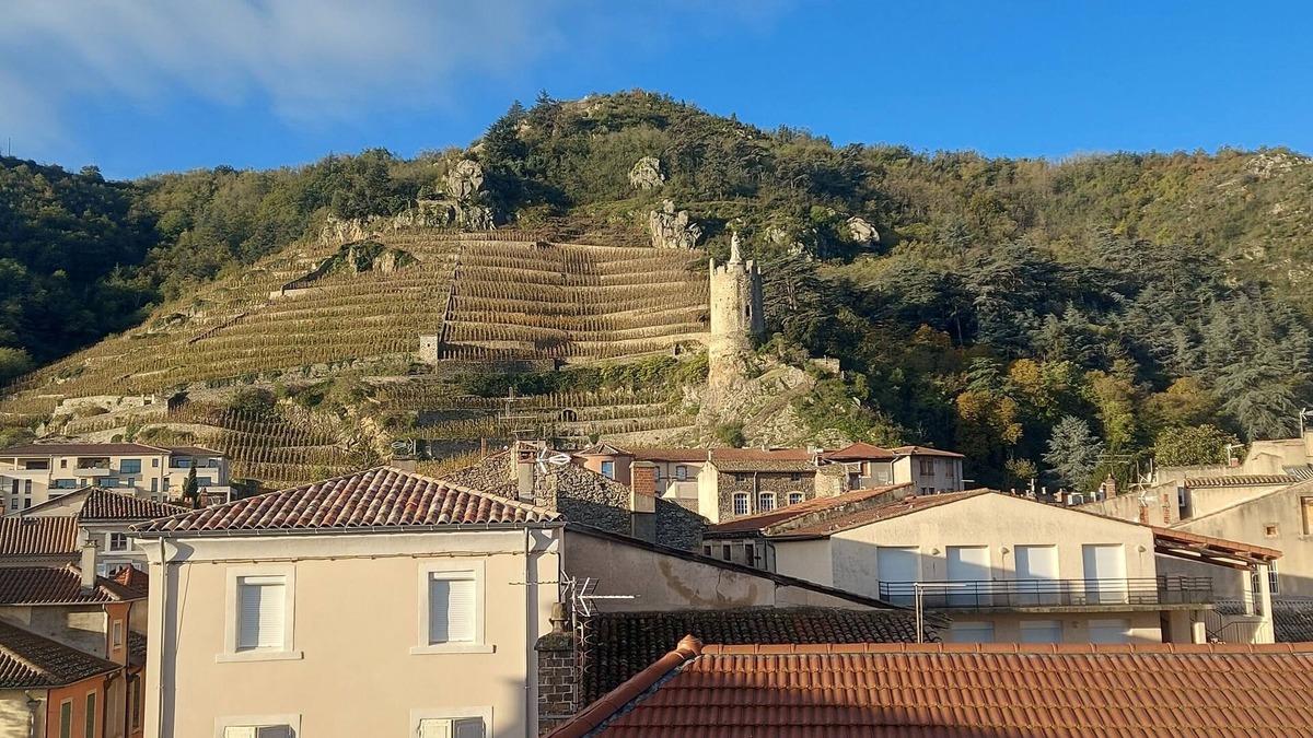 Tournon-sur-Rhone Apartment | Centre Ville de Tournon au Cœur des Vignes Éveiller vos Papilles