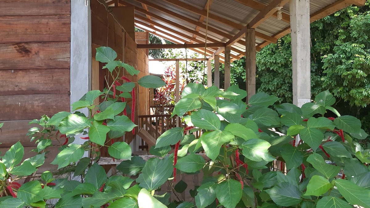 Lacanja Hotel | Centro Ecoturistico Yaajche