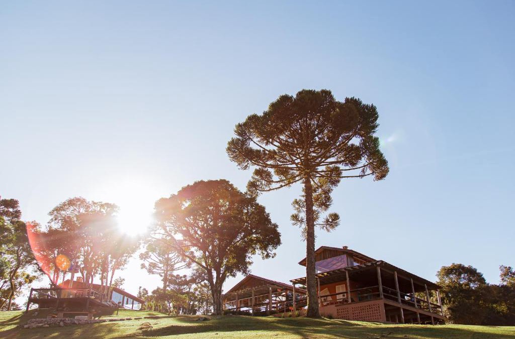 Piraquara Cabin | Chácara Caminho das Águas