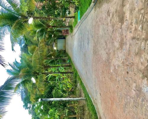 Agrestina Ski Chalet | Chácara Cristal