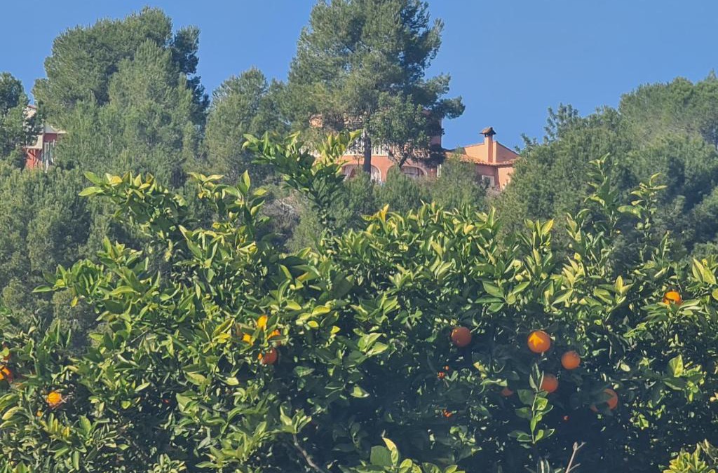 Montroi House | Château Angélique