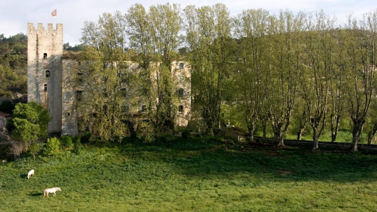 Esparron-de-Verdon Other | Château D'esparron