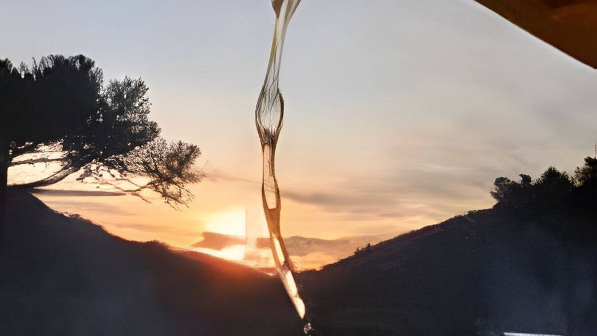 Vacas Gordas Cabin | Chalé Diamante Negro - Urubici