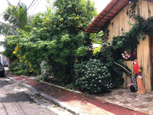 Nova Nazare Ski Chalet | Chalé Natureza8 Amazonia - Belem