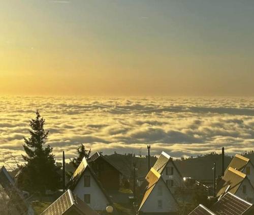 Penhas da Saude Ski Chalet | Chalé Zimbro, Serra da Estrela, Penhas da Saúde