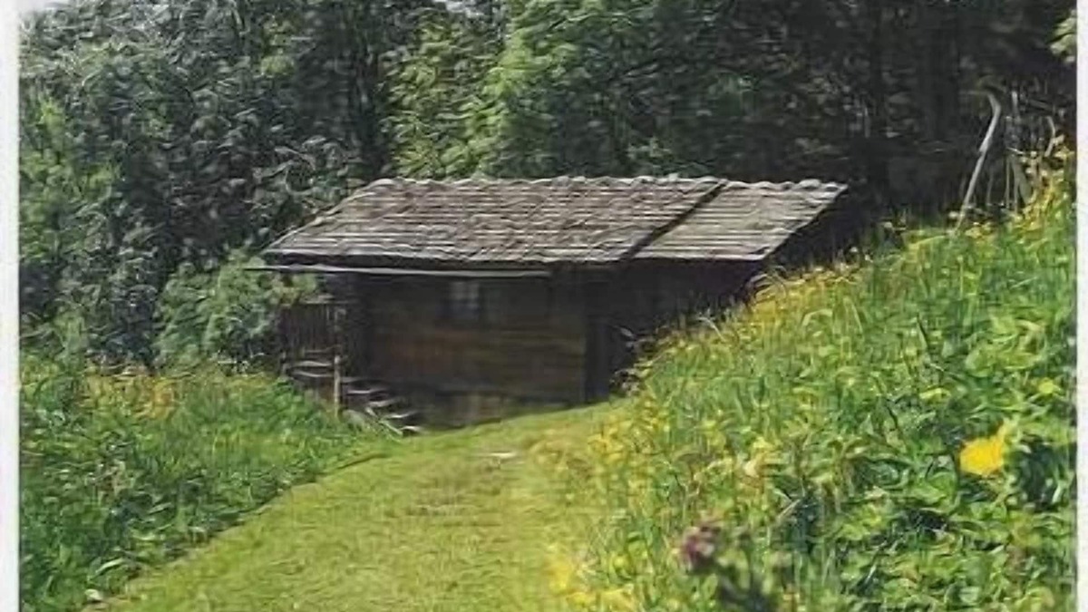 Hauteluce Ski Chalet | chalet - 2 rooms - 2/3 persons