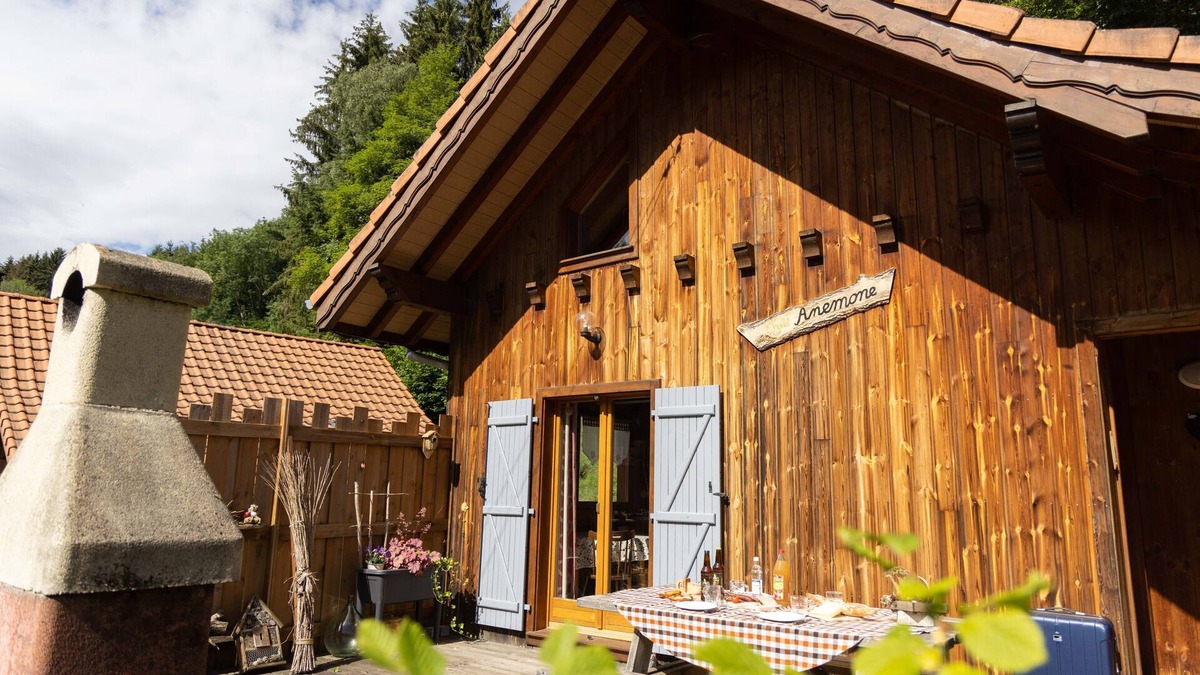 Soultzeren Ski Chalet | chalet anemone - mountain view